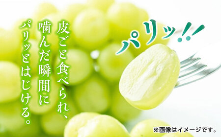 【先行予約】シャインマスカット 約2kg （3から5房） ぶどう 種なし【合同会社 福福堂】[ZCN008]