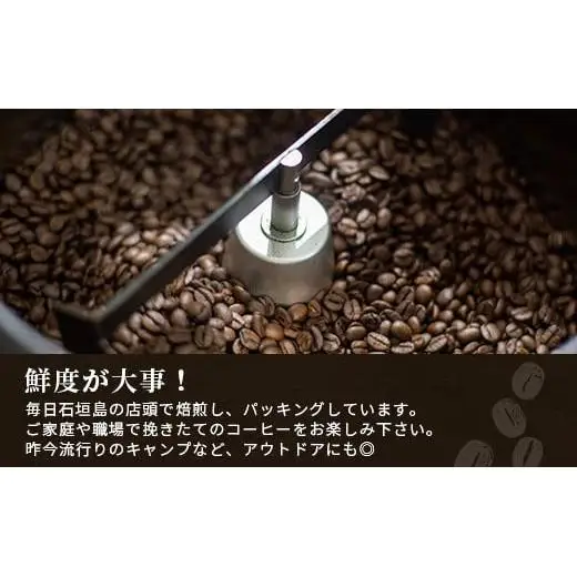 石垣島産コーヒー豆MIXブレンド ドリップパック10個と焙煎豆100g×4袋セット IW-3 