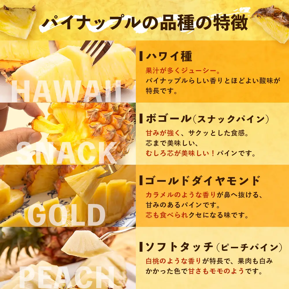 【先行予約・数量限定！】国産パイナップル　約3ｋg（3～5玉）～なか農園おまかせセット～ NK-001 ｜パイナップル パイン フルーツ 果物 くだもの 先行予約 数量限定 産地直送 新鮮 旬 ハワイ種 ピーチパイン ゴールドダイヤモンド ボゴール なか農園 鹿児島県 南大隅 