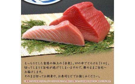 本マグロ（養殖）トロ＆赤身セット500g 【１ヶ月以内に順次発送】／ 通常発送の他、発送月別、先行予約受付中！【nks110D】