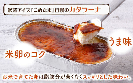 【こだわり濃厚米卵と地元特産フルーツ使用！】こめたまバラエティセット３種９個入り デザート スイーツ お菓子 アイス ギフト  【氷窯アイス こめたま】[GF02]