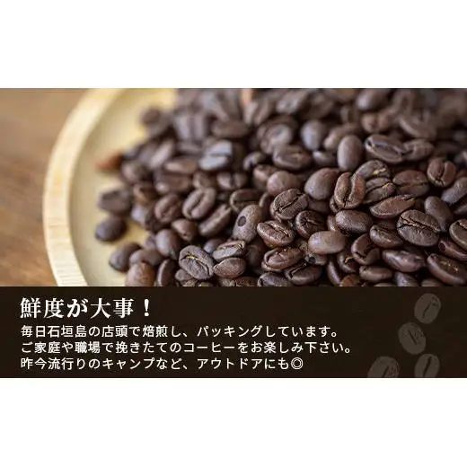 【6ヶ月定期便】石垣島産コーヒー豆MIXブレンド ドリップパック10個と焙煎豆100g×4袋セット  IW-5