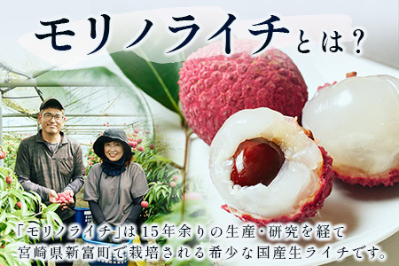 《江森宏之シェフ作》新富町産「モリノライチ」アイスケーキ 5号サイズ 1個 15cmホール【D131】