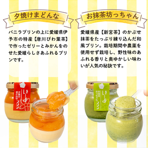 愛媛のプリンセット 6本入 プリン お菓子 抹茶 みかん デザート 愛媛県 松山市【IP001_x】