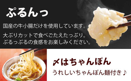 【定期便 年12回】 やまや 博多もつ鍋 こく味噌味 1～2人前