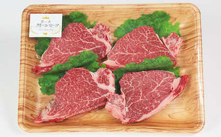 豊の香 クイーンビーフ ヒレステーキ 480g （120g×4枚） 国産 黒毛和牛 経産牛 お楽しみ 牛肉 お肉 人気 九州 ＜150-001＞