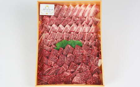 豊の香 クイーンビーフ 焼肉 食べ比べ （バラカルビ・もも）計800g 国産 黒毛和牛 経産牛 お楽しみ 牛肉 お肉 人気 九州 ＜150-005＞