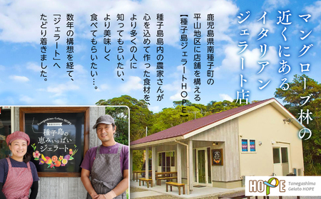 恵みジェラート8個セット【種子島ジェラートＨＯＰＥ】