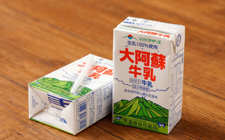 【12ヶ月定期便】大阿蘇 牛乳 250ml×24本×12回 合計72L 紙パック ミルク 成分無調整 