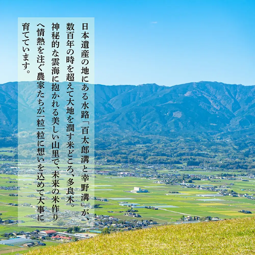 【令和7年産米】受賞米 こめたらぎ にこまる 精米 10kg (5kg×2袋) 米 お米 10月中旬～発送 グランプリ受賞 白米 精米 ご飯 こめらたぎ にこまる 名産地 多良木町産 ふっくら 044-0507-a