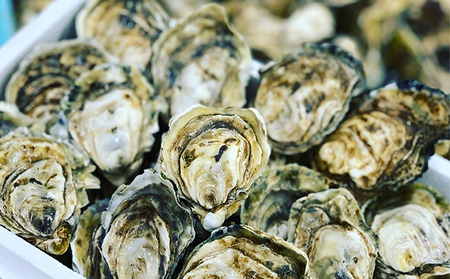 厚岸町産 干しカキえもん 生牡蠣 あさり セット 魚貝類 干物 純厚岸産牡蠣 旨味 海の幸 乾物 海の幸セット 詰め合わせ 
