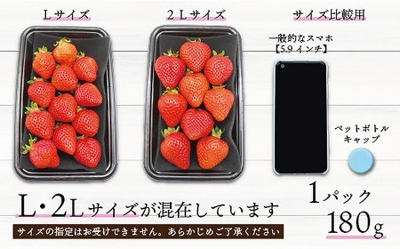 【2027年3月より順次発送】食べきりサイズ！博多あまおう8パック　約1440g（2L～Lサイズ）[H2319]