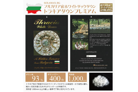 訳あり 羽毛布団 ダブル 冬用 色柄おまかせ 本掛け 軽量生地TTC 数量限定｜[川村羽毛 山梨県 韮崎市 20743599]