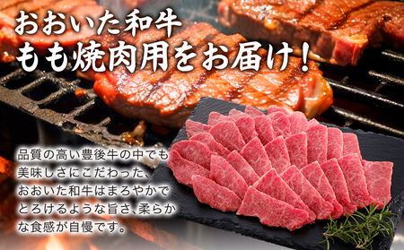おおいた和牛 もも焼肉用 600g | 津久見市