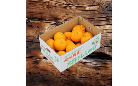不知火 ( しらぬい ） 3kg 家庭用 (大好きしらぬい)　/ デコポン 甘い 和歌山 有田 柑橘 産地直送 農家直送 手選果 ※2027年2月中旬～3月下旬に順次発送予定  【nkh010-c-3A】
