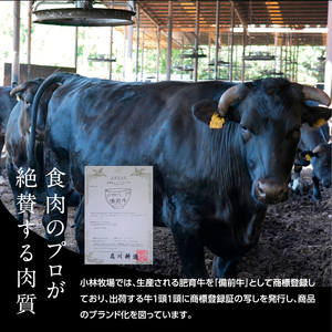 CC-105　備前牛（黒毛牛）ローストビーフ　300g