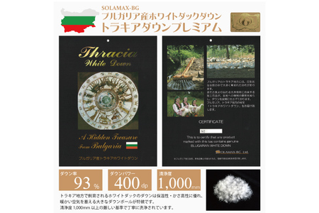 羽毛布団 シングル 冬用 本掛け 80番手サテン (エリーヌブルー 青 柄 ) ｜[川村羽毛 山梨県 韮崎市 20743610]