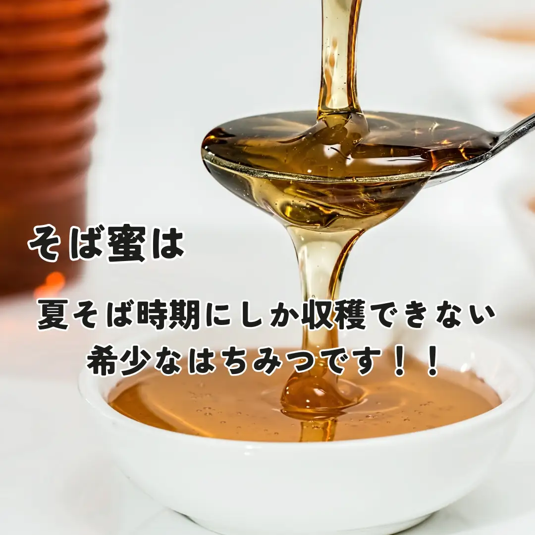 食べるサプリメントそば蜜 500g×1本 そばみつ イチカラ畑｜はちみつ