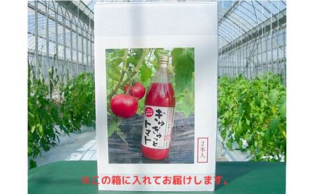 ひとっちゃんの有機畑の〈ぎゅぎゅっとトマト〉、有機トマト100％使用 ジュース 1L×2本 野菜飲料 野菜ジュース トマトジュース 無添加 食塩なし 