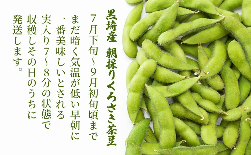 朝採り・新鮮・直送　くろさき茶豆1.5kg『7月下旬～順次発送』朝採りくろさき茶豆1.5kg 新鮮野菜 新鮮茶豆 枝豆 朝採り茶豆 国産野菜 とれたて野菜芳ばしい香り 深い甘み コク 歯ごたえ 本茶豆 ピカリ茶豆 