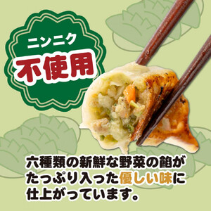 【大阪名物】大阪ふくちぁん野菜餃子 冷凍生餃子 108個 ［36個入×3セット］