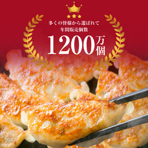 【大阪名物】大阪ふくちぁんスタミナ餃子 冷凍生餃子 288個 ［36個入×8セット］