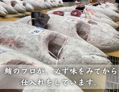 【全4回定期便】中とろ づくし A4ランク M005-T06 冷凍 マグロ 定期便
