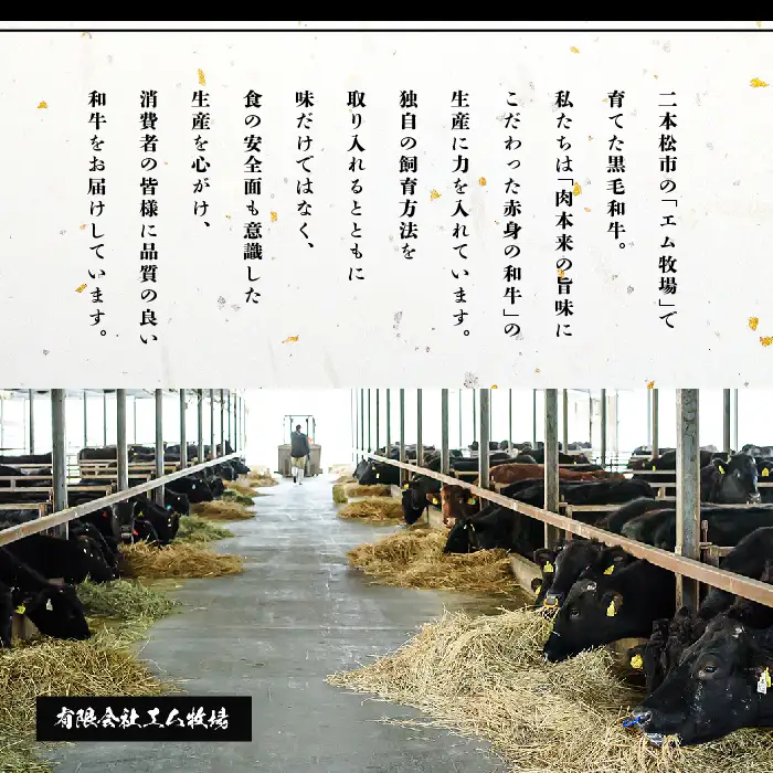 黒毛和牛 サーロイン ステーキ 4枚 600g 牛肉 ステーキ【株式会社コーシン】