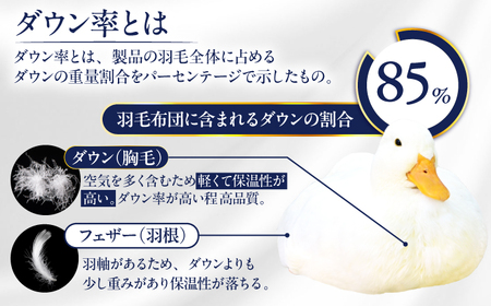 【お中元対象】【訳あり】【 糸島 羽毛 ふとん 】羽毛 布団 柄おまかせ ダウン85％【ダブル】糸島市 / 株式会社三樹  [AYM005] 本掛け 羽毛布団