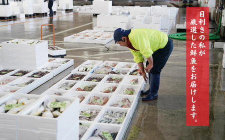 日本海直送 【高級鮮魚5種】鮮魚ボックス 旬の魚詰め合せ 魚のプロが選んだ厳選魚 新潟 糸魚川 能生漁港から朝獲れ新鮮な魚をお届け 生 (国産 天然 海鮮 お刺身 魚介類セット 鮮魚BOX 便利 簡単 お手軽 高級) 魚正