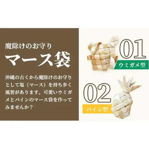 石垣島の植物クラフトワークショップ 　 HM-5