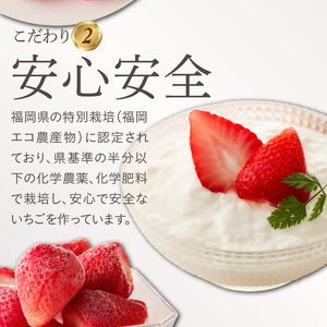 旬のおいしさそのまま！池田農園の特殊冷凍よつぼし1.5kg_いちご 特殊冷凍 よつぼし 1.5kg 750g × 2 旬 美味しい 完熟 甘い 濃厚 アートロックフリーザー サクサク 食感 栄養 池田農園 フルーツ スムージー おやつ スイーツ 冷凍 お取り寄せ お取り寄せフルーツ 食べ物 福岡県 久留米市 送料無料 〔Fi212〕