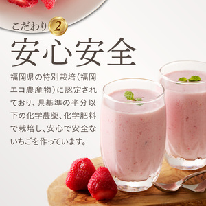 旬のおいしさそのまま！池田農園の特殊冷凍あまおう1.5kg_池田農園 特殊 冷凍 完熟 あまおう 1.5kg  糖度 酸度 バランス 旬 おいしさ そのまま アートロックフリーザー 急速冷凍 サクサク 食感 福岡エコ農産物認定 こだわり 管理 真空パック デザート 果物 いちご グルメ お取り寄せ 福岡県 久留米市 送料無料  〔Fi213〕