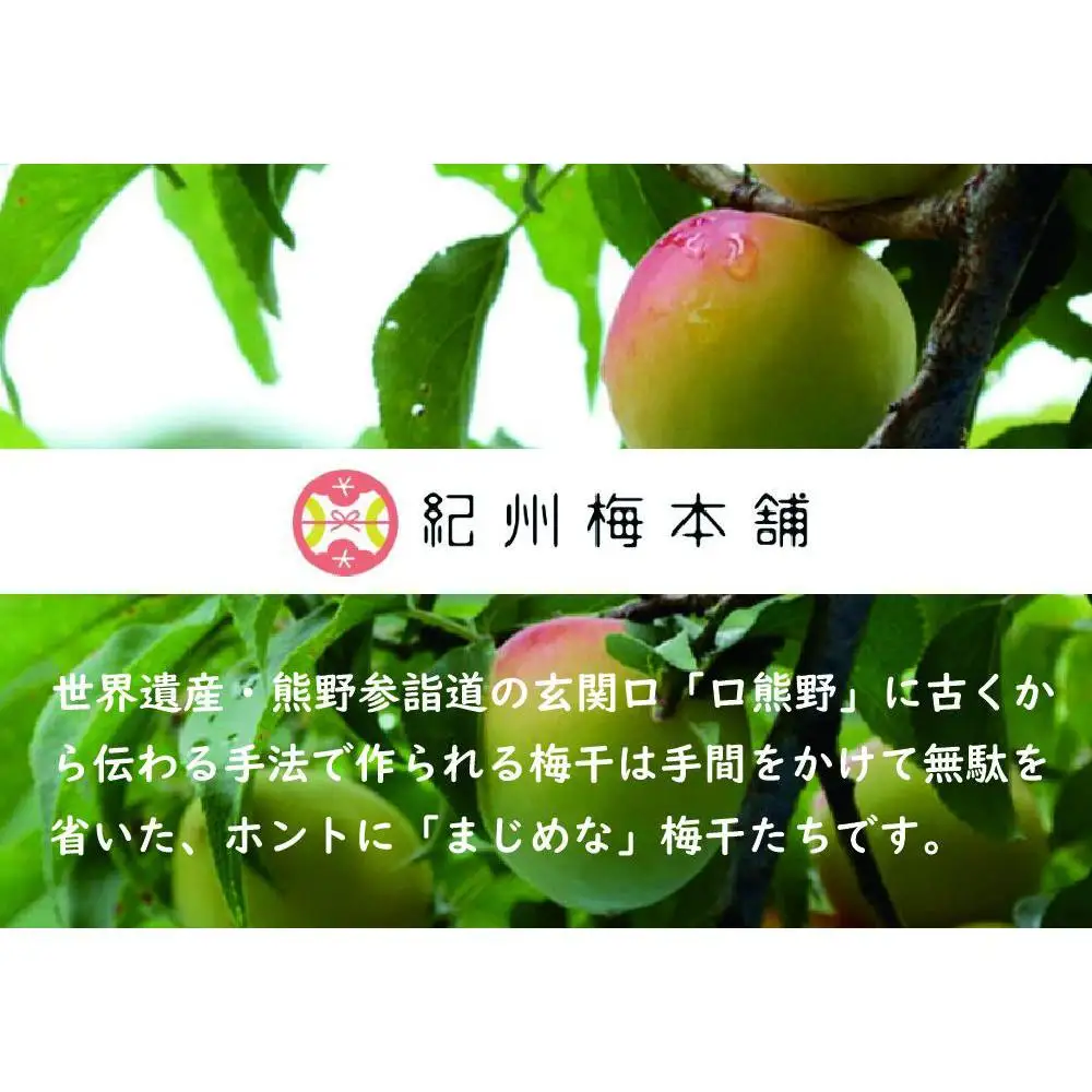 紀州南高梅　口熊野（はちみつ）1kg　塩分約8％