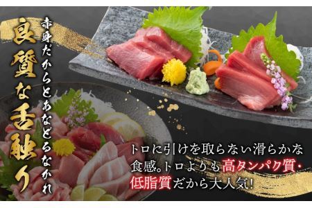 本まぐろ 赤身 300g お刺身やまぐろ丼に [A-107004]