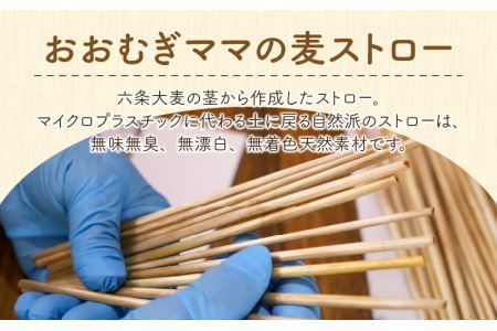 福井産六条大麦そのまま食べられる麦茶とおおむぎママの麦ストローR★環境配慮商品★ [A-034002] 