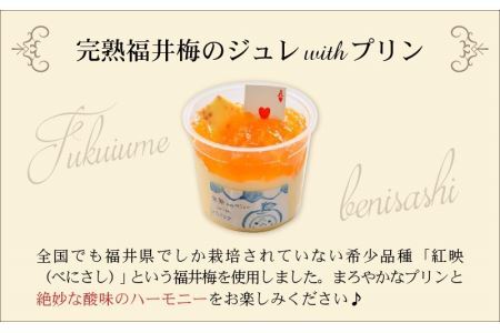 福井を味わう♪ 貴族プリン 6個セット[A-066002] プリン ジュレ デザート 濃厚 完熟 酸味 福井梅 紅映 べにさし 梅 紫蘇 木田ちそ