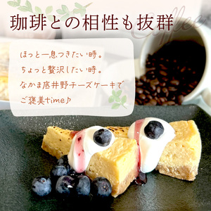 なかま底井野チーズケーキ【055-0002】