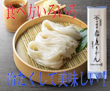 手造り稲庭うどん500g 5袋 （30人前セット） 稲庭うどん 稲庭うどん 【(株)稲庭吟祥堂本舗】[B5-0301]