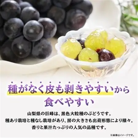 【2026年発送】山梨市産「巨峰(種なし)」詰め合わせ(約500g×3房)【配送不可地域：離島・沖縄県】【1117300】