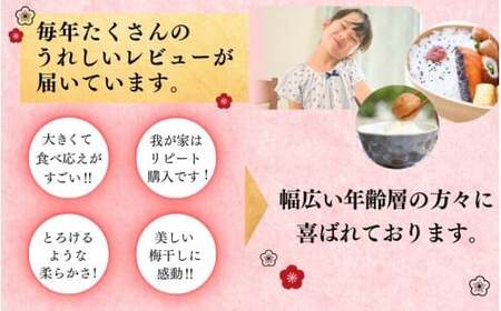 最高級紀州南高梅・大粒桃風味梅干し1.4kg【ご家庭用】/ 梅干 梅干し 梅 南高梅 大容量 人気 大粒 ご家庭用【inm600B】