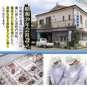 ＜訳あり＞国産特大あじの開き(計20枚以上)簡易包装 干物 アジ 魚介 水産加工品 開き おかず おつまみ 宮崎県 門川町【AW-22】【丸正水産】