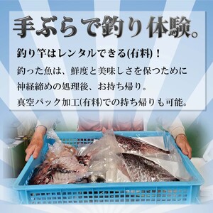 【釣り堀ハマカツ】1名釣り堀利用券(男性1名)【E2-013】