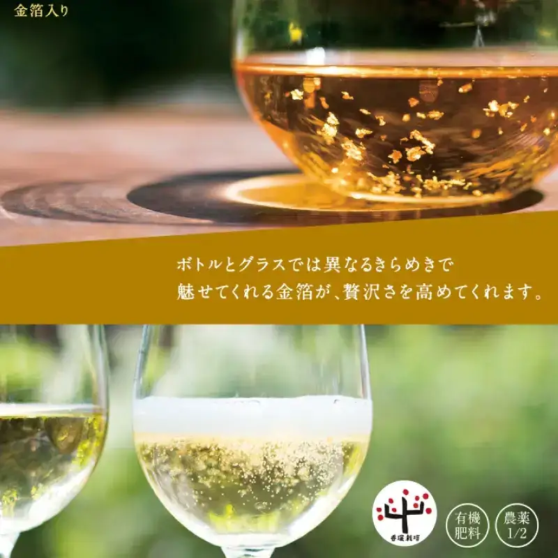 【五年熟成】梅酒濱田 HAMADA　750ml  13度/ 田辺市 梅干し 梅干 梅 うめ 梅酒 酒 紀州産 完熟梅 南高梅 金箔【isg019-1】
