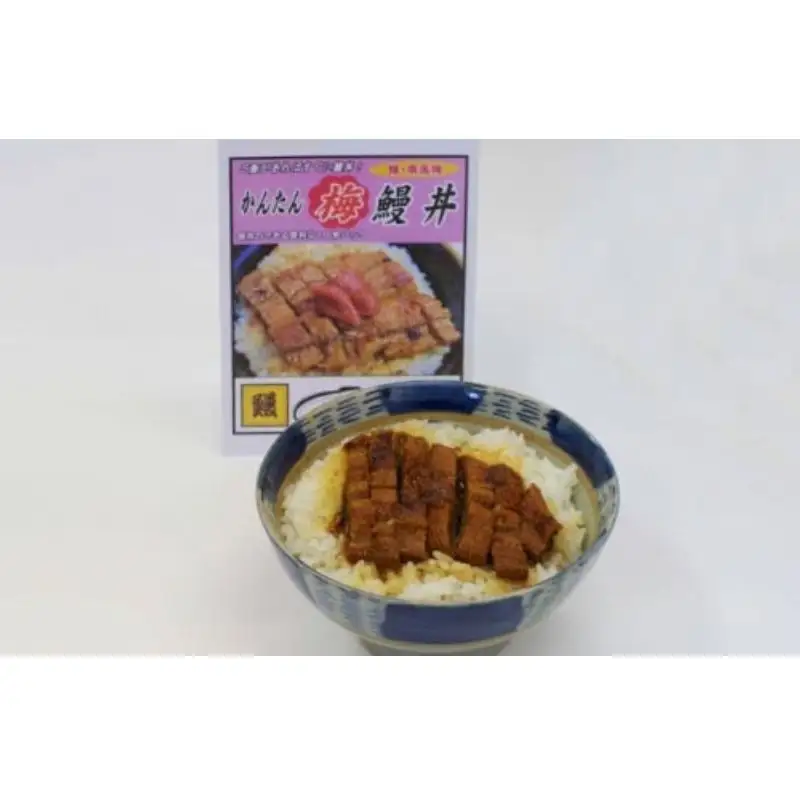 4種のうなぎ丼セット 全9食セット【湯煎するだけ簡単鰻丼】 / うなぎ 鰻 ウナギ 和歌山 田辺市 国産 国産うなぎ 国産鰻 うなぎ 鰻 鰻丼 うな丼 土用の丑の日 セット 食べ比べ 冷凍 和歌山 丼 簡単 湯煎 【ots002】