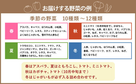 【12ヶ月定期便】 おまかせ旬野菜セット 旬 野菜 セット 北海道 北広島市