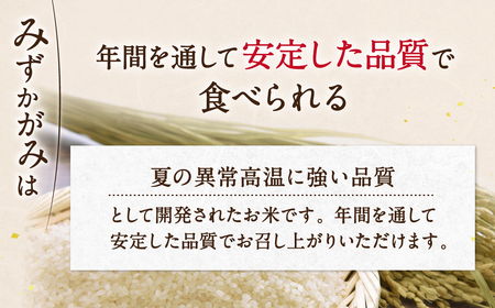 パックご飯 みずかがみ レトルトご飯 200g×36個 米 お米 簡単 白米 レンジ パックライス ごはんパック B02 JAグリーン近江 東近江 ご飯 ご飯パック パック レトルト