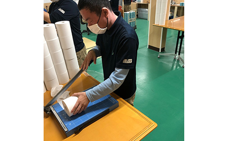 【思いやり型返礼品】リプライ 山形県製造 再生紙 100％ トイレットペーパー36ロール（1ロール 160ｍ×36個） F2Y-5556