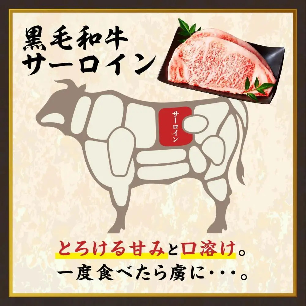 鹿児島県産和牛サーロインステーキ（4等級以上）200g×4枚