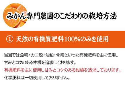  【2026年秋頃発送予約分】【農家直送】こだわりの青切りみかん 約7.5kg サイズお任せ 有機質肥料100%　※2026年9月下旬より順次発送予定（お届け日指定不可）/ミカン 蜜柑 柑橘 フルーツ くだもの 果物 【nuk107F】